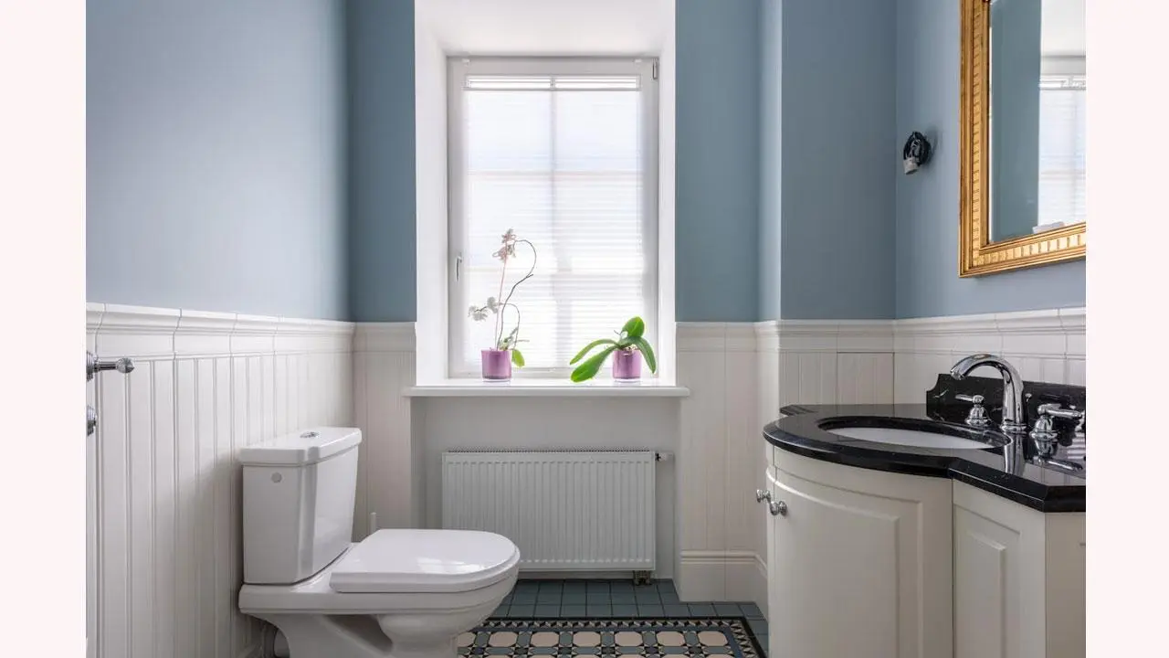 Soft-Close, Heated, or Smart? Exploring Modern Toilet Seat Cover Options