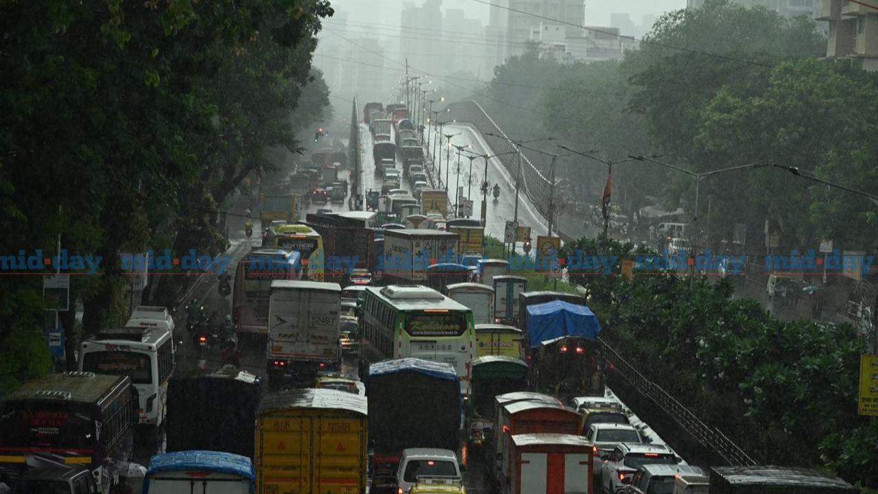 The Brihanmumbai Municipal Corporation (BMC) has issued advisories urging people to avoid non-essential travel and to exercise caution while commuting