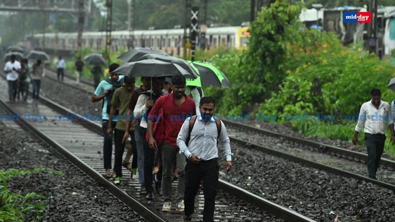 With the Western Railway and Central Railway lines experiencing delays of up to 15–20 minutes and certain stretches rendered inoperative, commuters have been forced to find alternate routes
