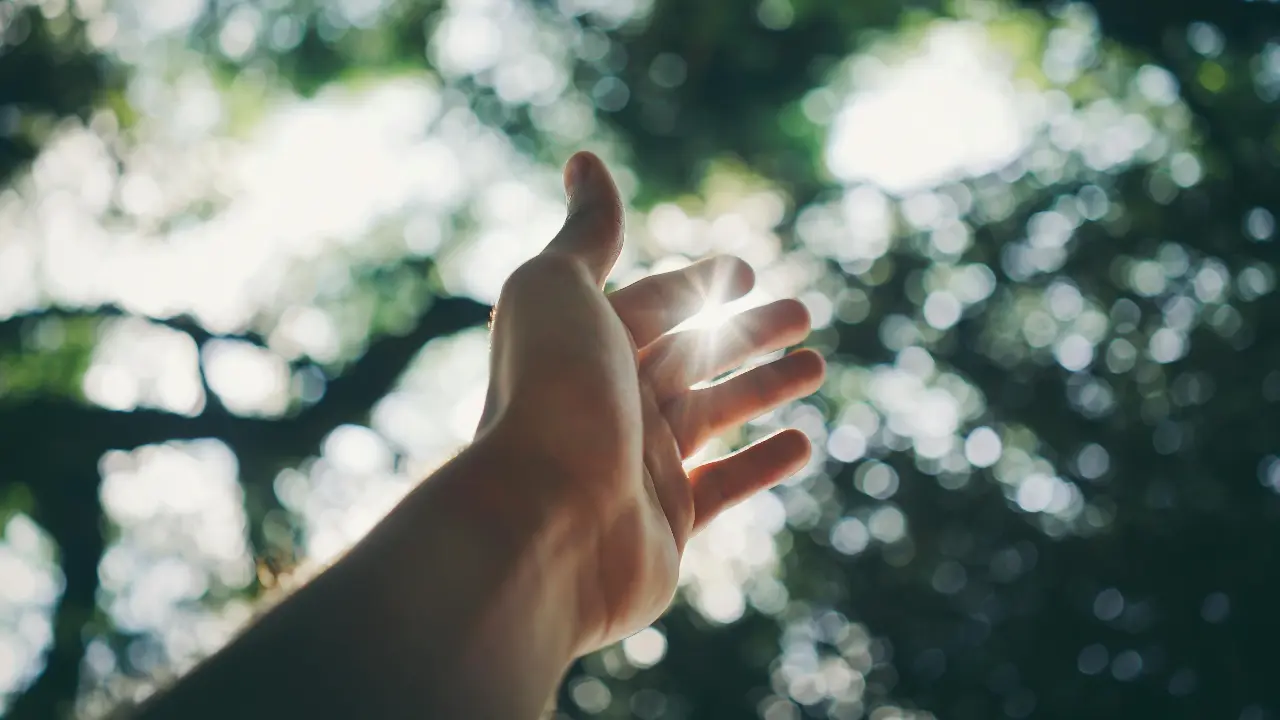 Daylight may boost immune system's ability to fight infections: Study