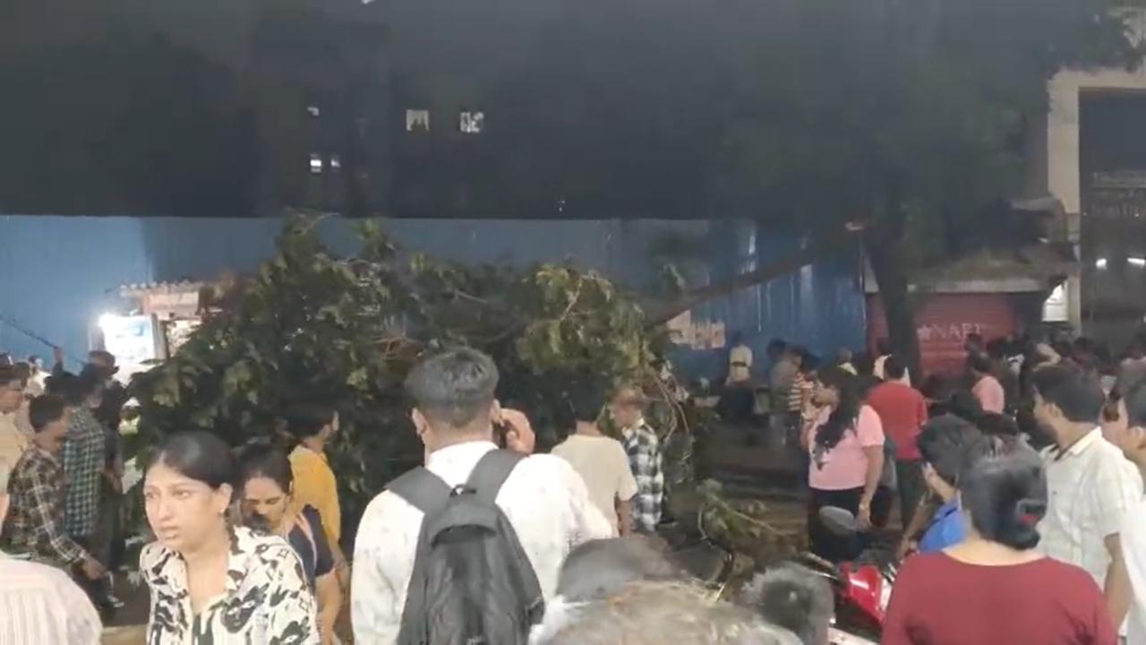 Tree branch falls near Mulund station in Mumbai, some people injured: Officials