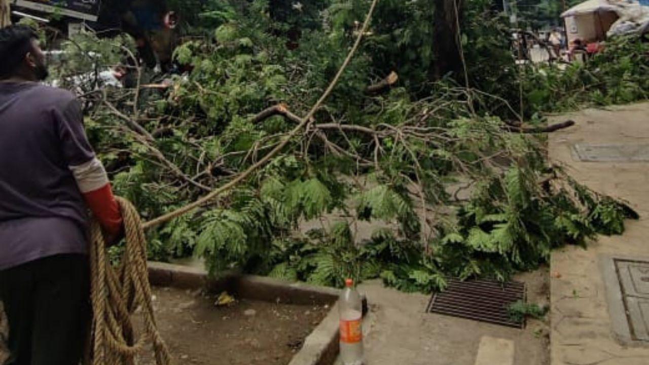 The city’s proactive approach, particularly in high-density areas like Borivali West, highlights the importance of urban preparedness in the face of the monsoon season