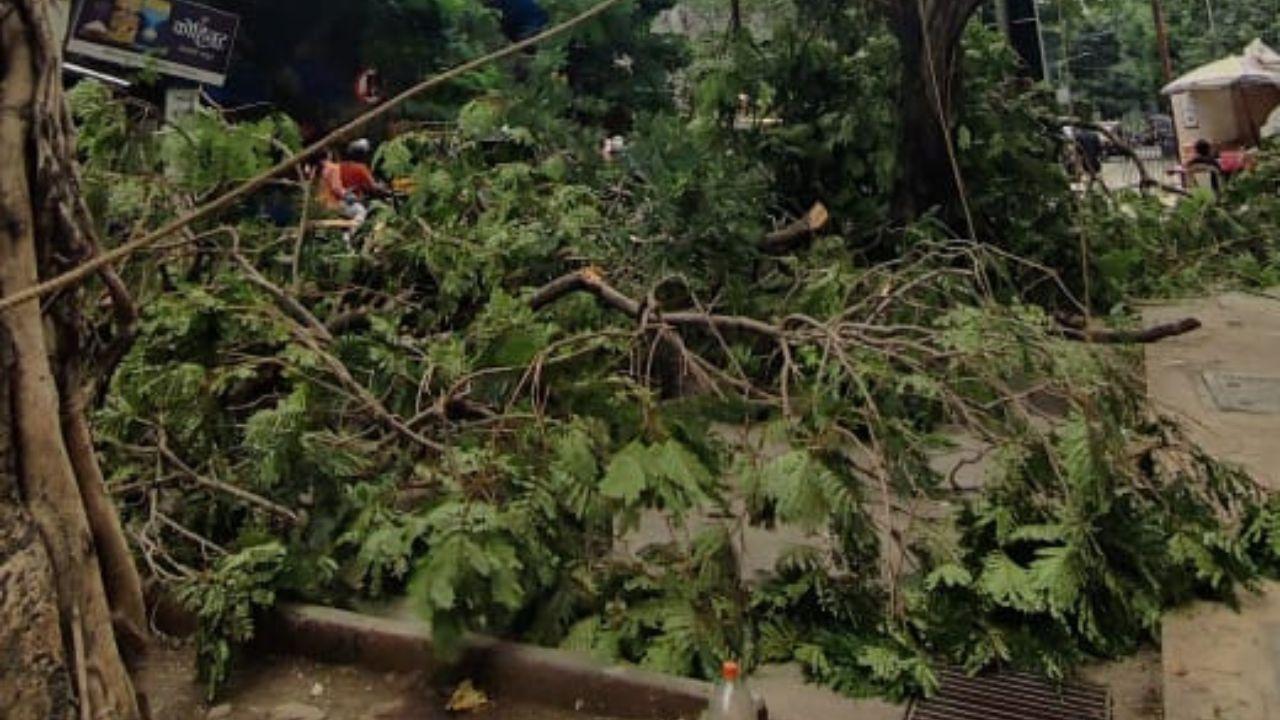 The city’s proactive approach, particularly in high-density areas like Borivali West, highlights the importance of urban preparedness in the face of the monsoon season
