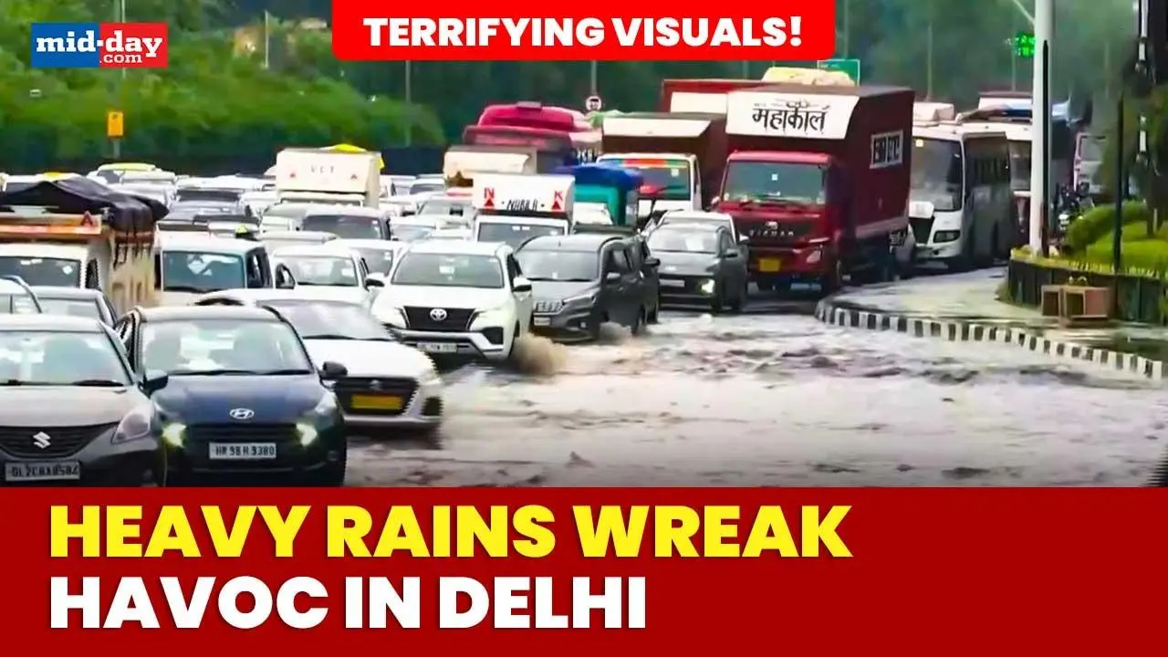Delhi Rains: Heavy waterlogging, uprooted trees & traffic chaos grip the capital