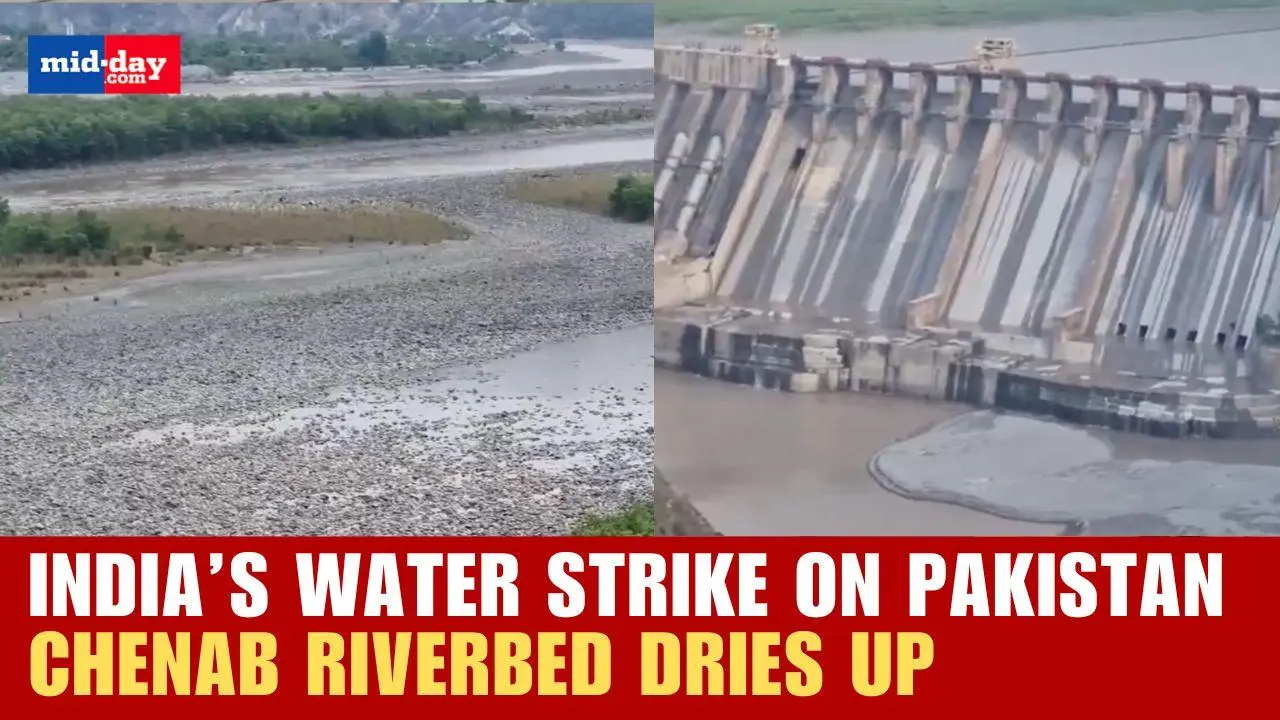 Jammu locals react as Chenab riverbed dries after India halts flow to Pakistan