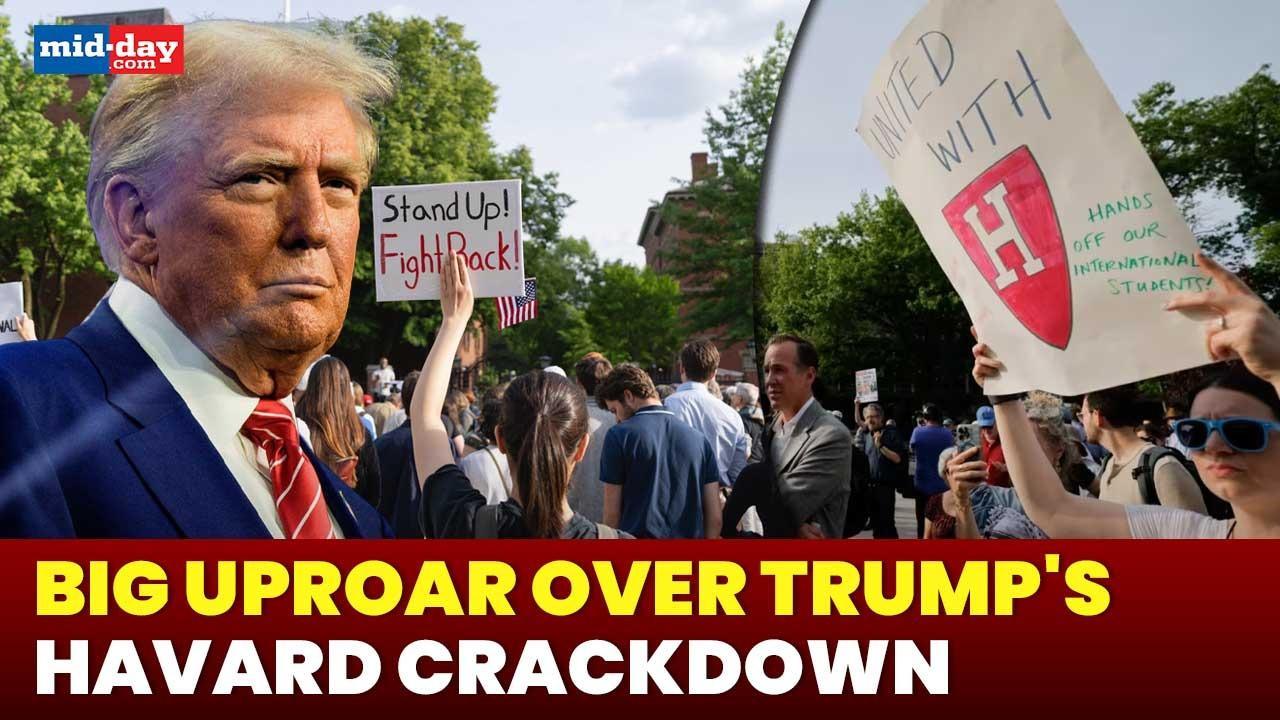 Harvard hit by Trump crackdown: Grants cut, student visas at risk, big uproar!