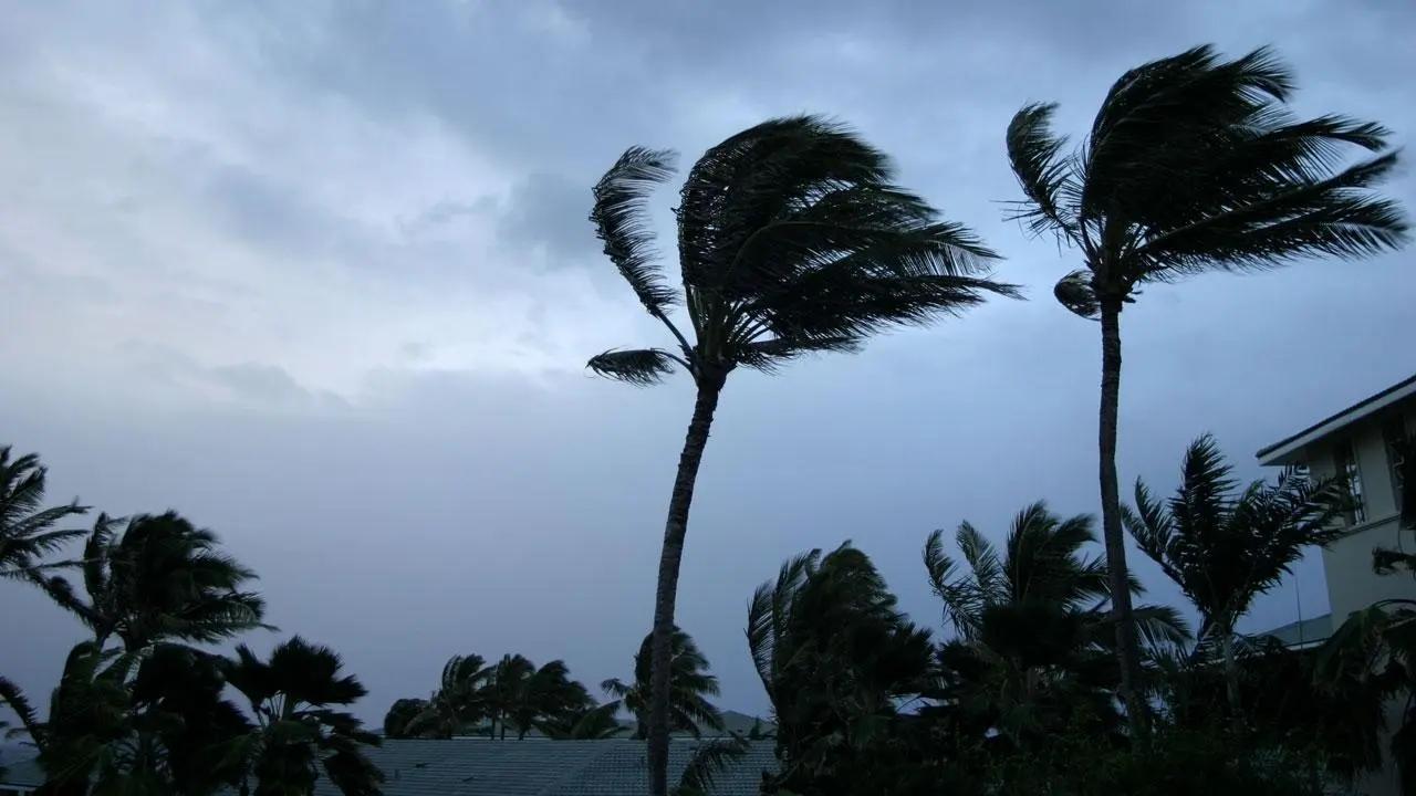 Thunderstorm, light rain in parts of Maharashtra in next 4-5 hours: IMD