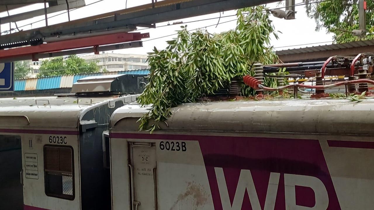 Western Railway services in Mumbai affected after heavy rains hit city