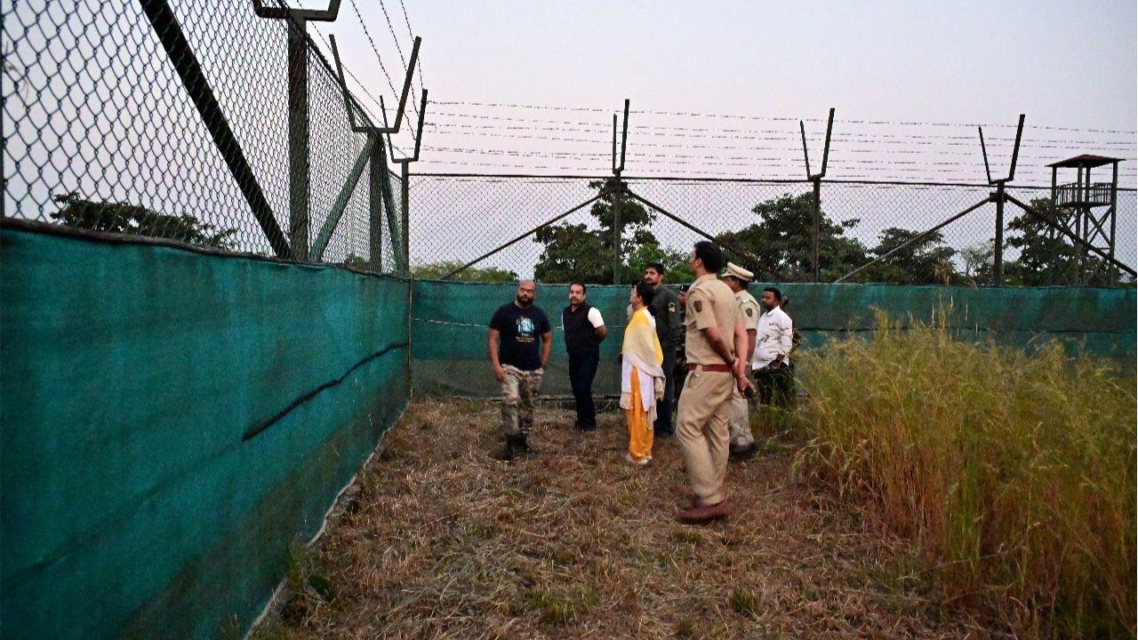 The transfer of Tigress T2-S-2 comes after the Ministry of Environment, Forest and Climate Change (MoEFCC) granted approval to translocate a total of eight tigers, including three males and five females, from TATR and Pench Tiger Reserve (PTR) to Sahyadri