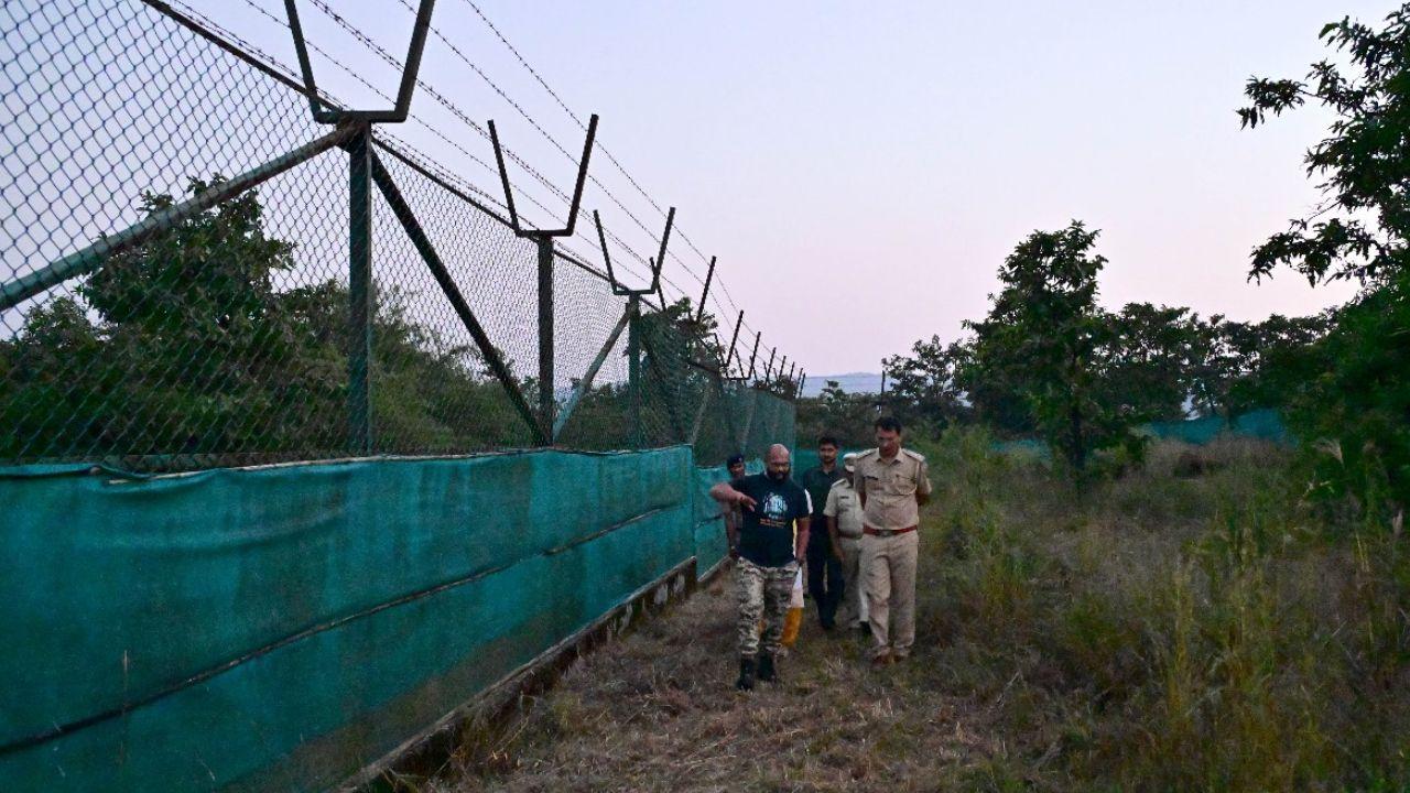 The coordinated, scientific, and responsible efforts of the teams from Tadoba and Sahyadri have made this achievement possible
