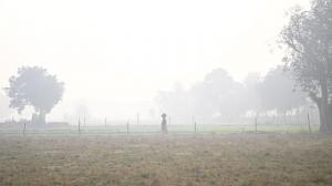 In praise of smoke and mirrors