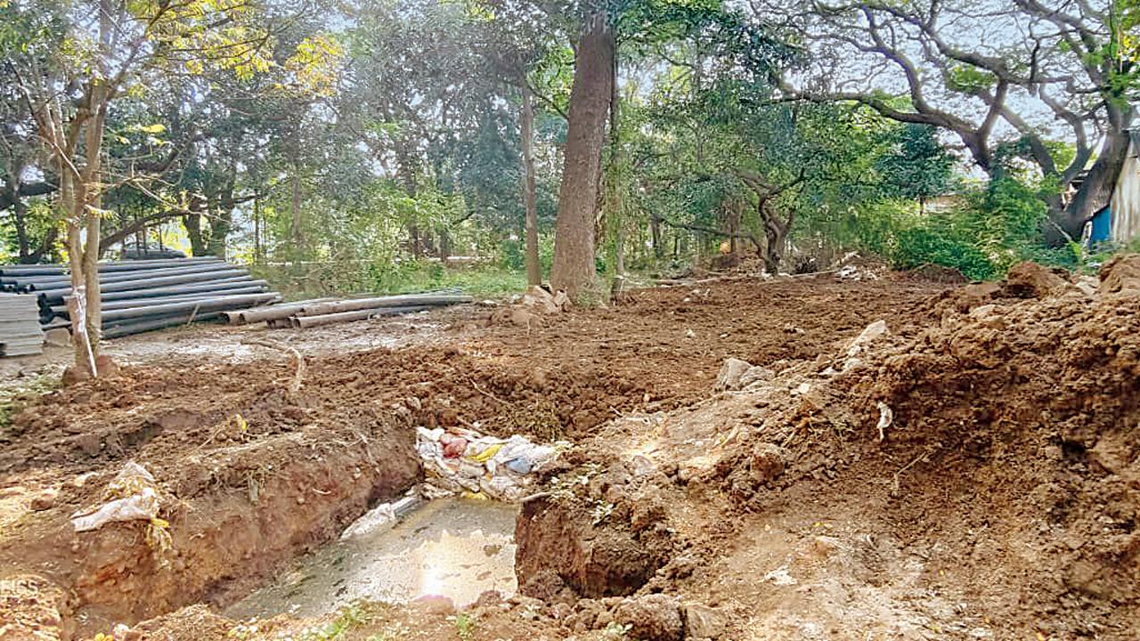 Mumbai: Cable-laying work in Aarey ESZ sparks concern over threat to trees