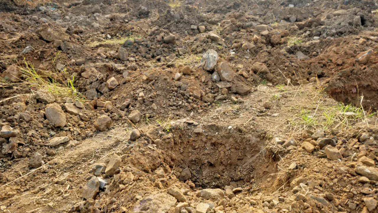 Mumbai: Activists slam BMC for planting trees on unstable, mud-dumped Aarey land