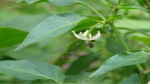 Why Mumbai needs greener offices now