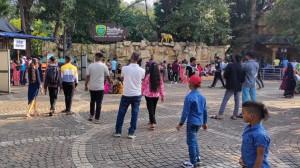 PICS | Byculla Zoo turns 163: 5 fascinating facts about Mumbai's oldest zoo