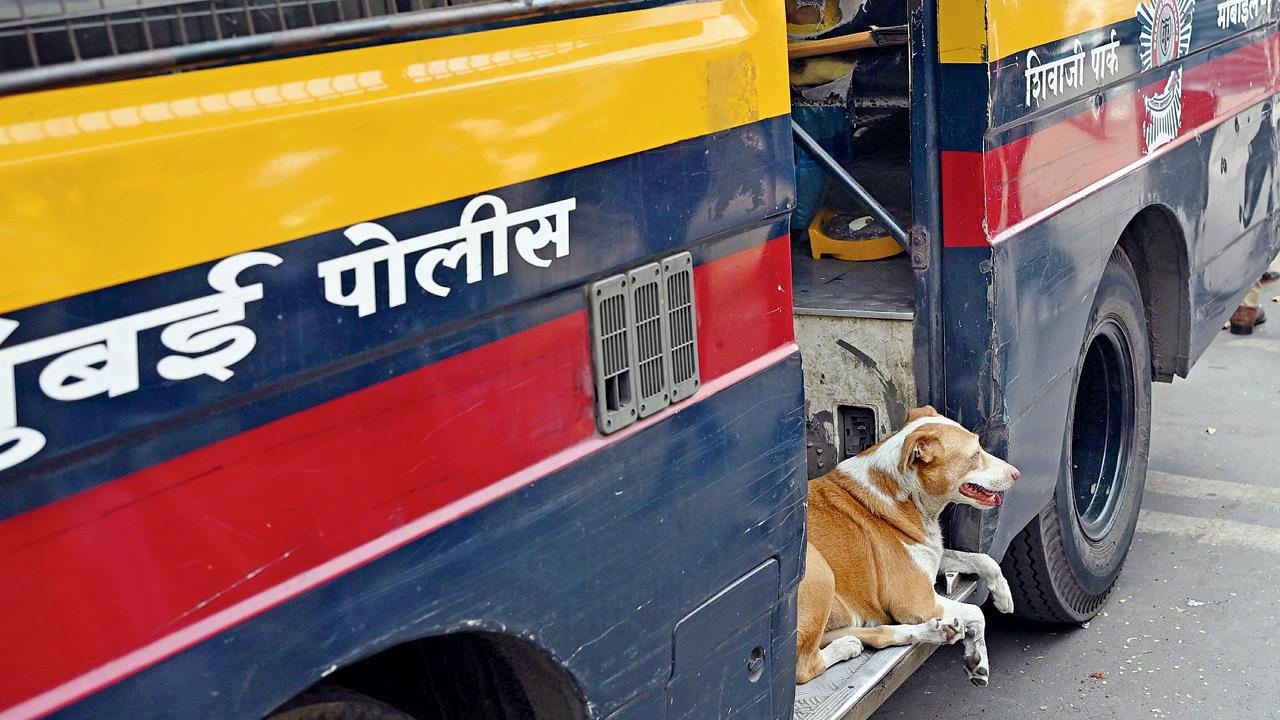 Mumbai Diary: Saturday Dossier