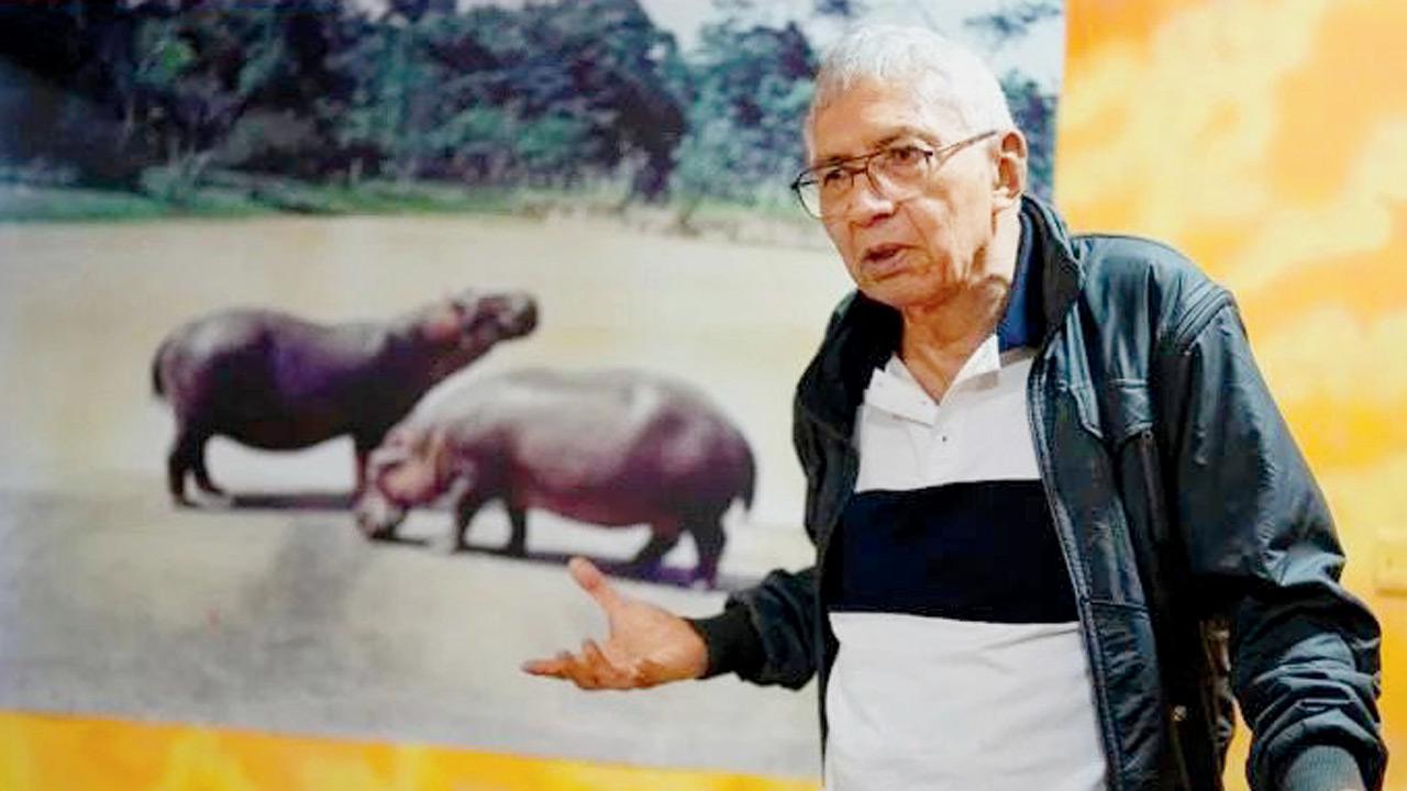 Colombian artist shares photos of Pablo Escobars hippos