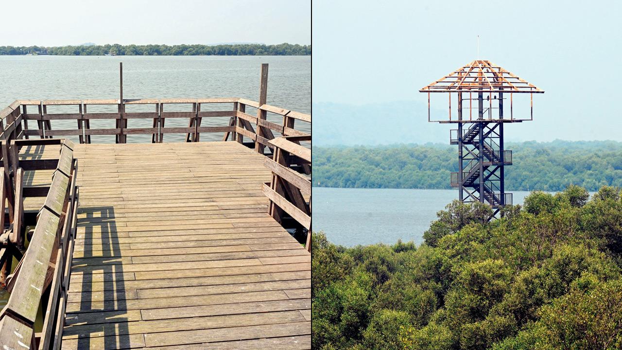 Opening of Gorai Mangrove Park delayed again despite work nearing completion