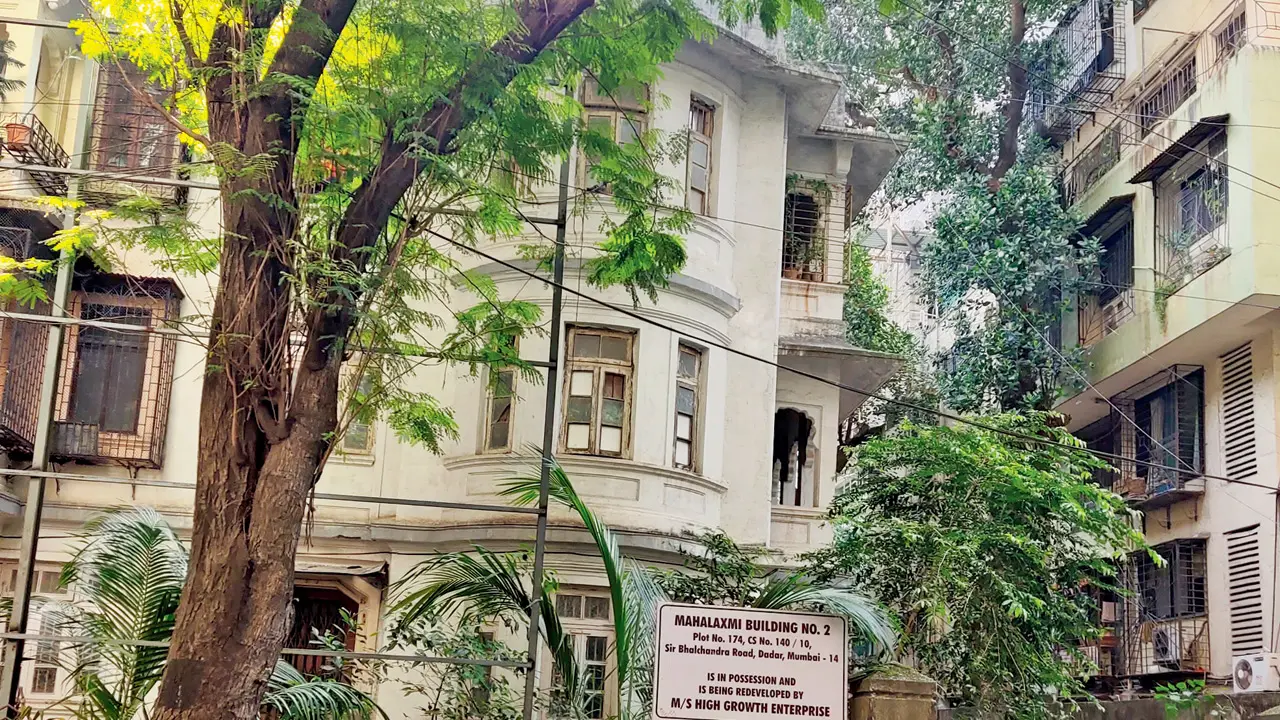 Colony of lost heritage