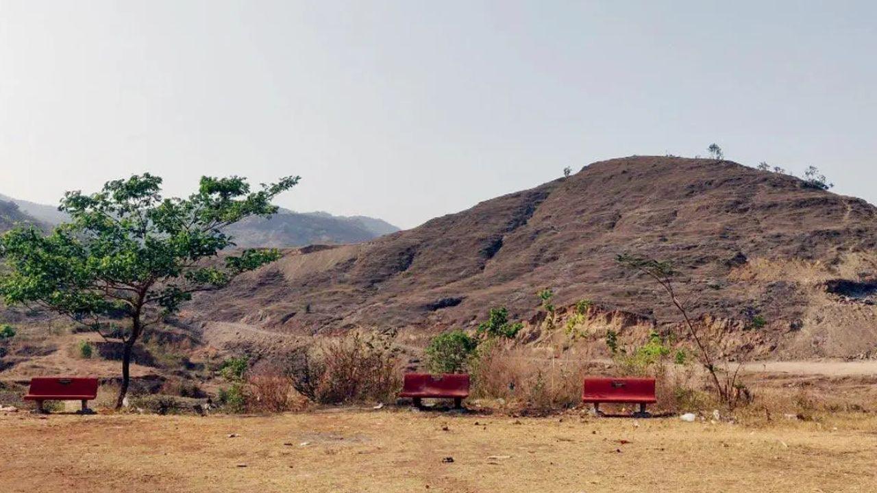 Leopard spotted near hamlet in Maharashtra's Kharghar Hills; Panvel Forest Department steps up patrols