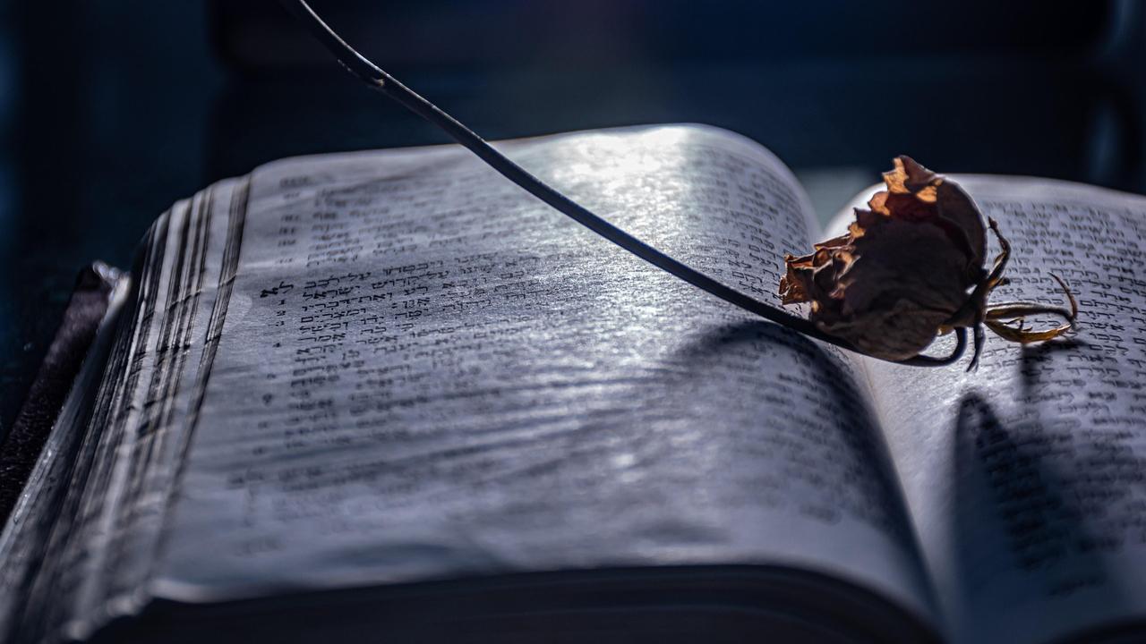 A Wish Upon the Sky: Rising voices in original performance poetryTwelve performance poets — Apeksha Jadhav, Arpit Yadav, Ashay Kadam, Ashu Bhoir, Faiza Shaikh, Jhankar Bhowate, Kalpesh Suroshe, Sagina Shaikh, Sheema Farheen, Shraddha Matal, Shraddha Mishra, Tahura Mulla — will take the stage. The group consists of youth, women, and the transgender community, writing in English, Hindi, and Marathi, who participated in workshops by Word Travels, Sydney. The poems will range from rap to ghazal.On November 9; 2 pm At Little Theatre Register www.litlive.in/fest2025/register
Other cool things to doRead a book On November 8, 9; 8 am to 10 amAt Tata Garden
Attend workshops by literary stalwarts On November 7, 8, and 9 At West Room 1
Discuss The Great Gatsby On November 8; 2 to 3 pm At Little Theatre
Participate in the open mic On November 8 & 9; 6 pm At Experimental Garden