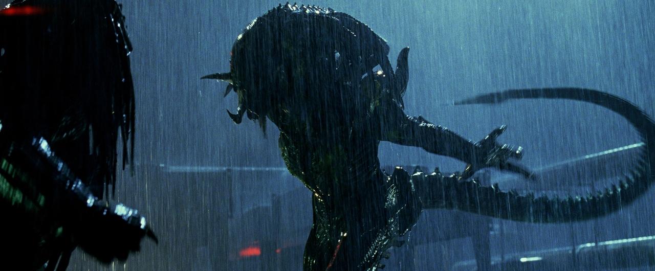 <p><strong>Aliens vs. Predator: Requiem (2007)</strong></p>
<p>A spacecraft brings a lethal alien to Earth, followed by a predator trying to kill the alien. Meanwhile, a bunch of survivors, split into two rival groups, want to save themselves. This is a sequel to the spin-off.</p>
<p>&nbsp;</p>