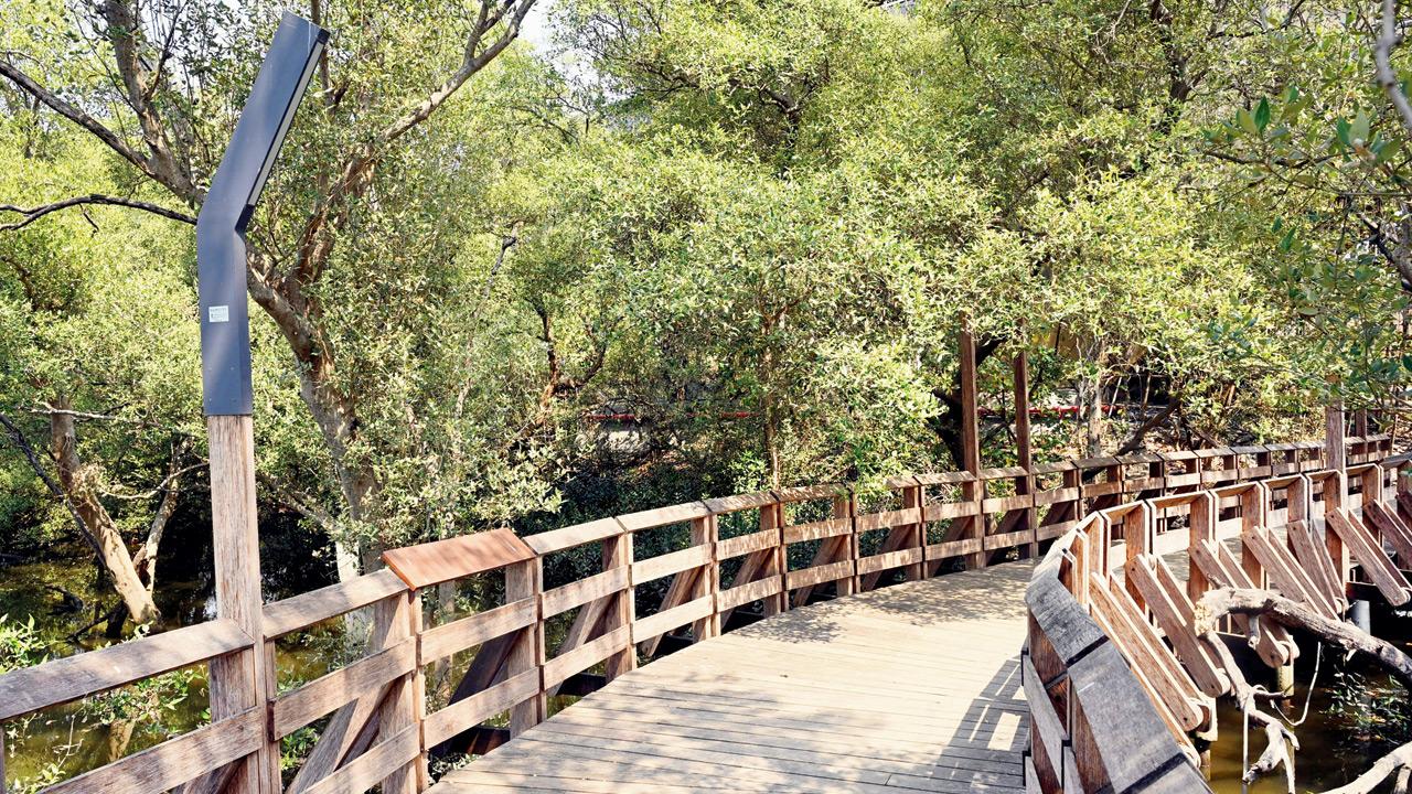 Lights installed along the stilted boardwalk at Gorai Mangrove Park