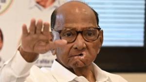 Sharad Pawar raises concerns over pre-poll cash transfers in Bihar