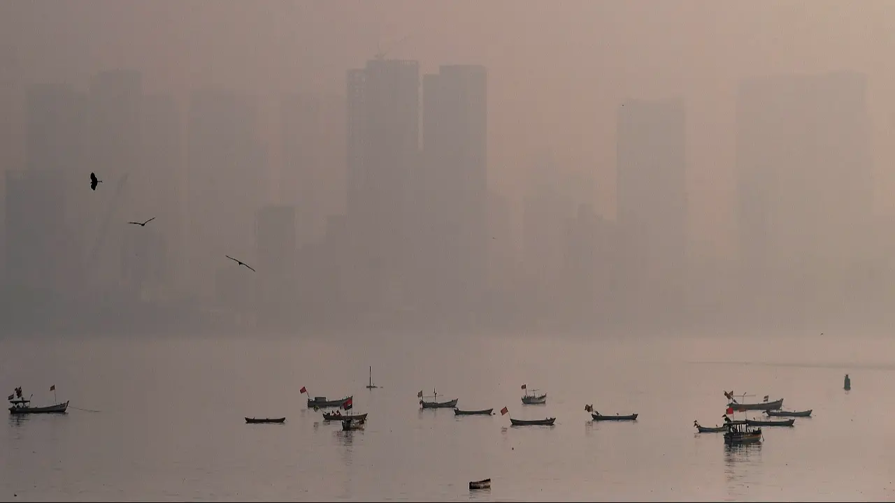 Mumbai weather updates: Clear skies, warm day ahead with moderate air quality