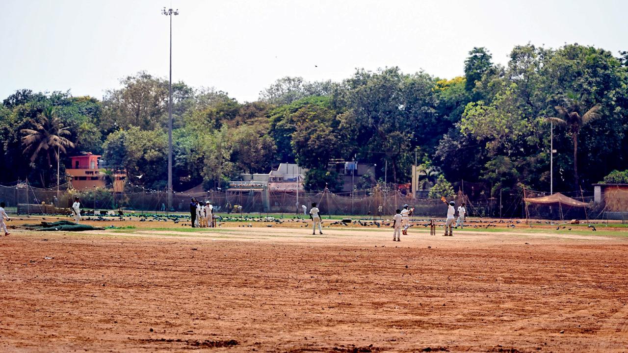 BMC plans red soil topping at four playgrounds in Matunga, Wadala and Sion About 80 truckloads of red soil were laid at Shivaji Park in 2019-2021. PIC/ASHISH RAJE