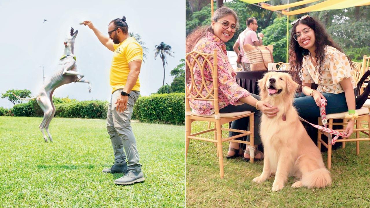 Nicholas Furtado teaches a pet dog a trick; (right) A Golden Retriever looks cheerful at the 2024 edition 