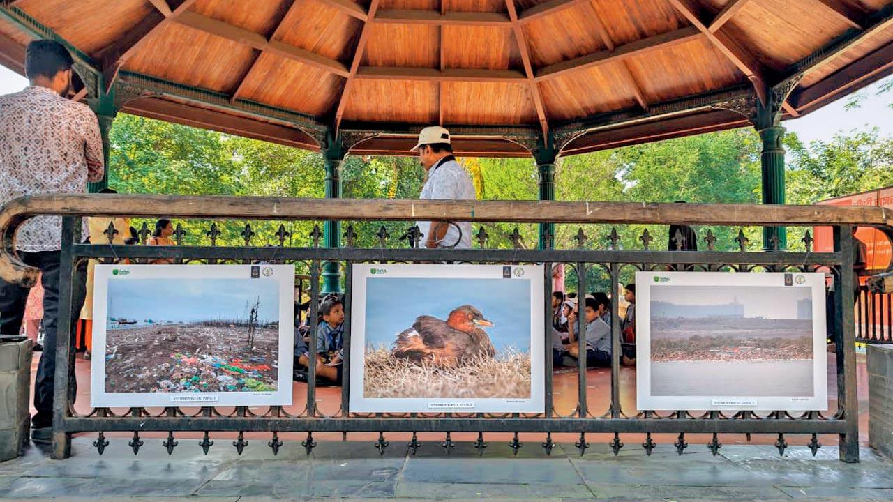 A view of the exhibition at The Mumbai Zoo. PIC COURTESY/ABHISHEK SATAM