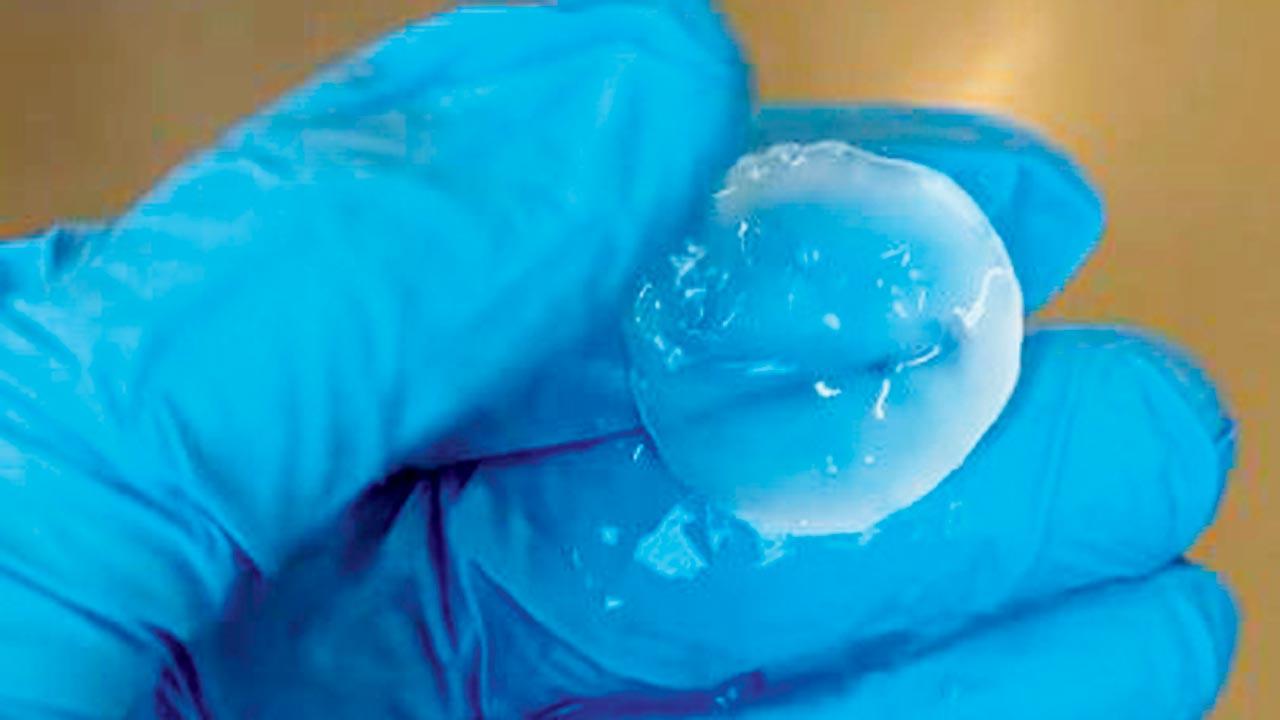 Smart Materials from Bacterial Spores Pic/Jeong-Joo Oh, Aubin-Tam Lab