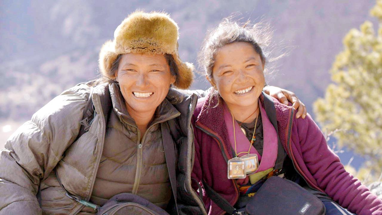 Snow Leopard Sisters is a story of survival, mentorship, and defiance
