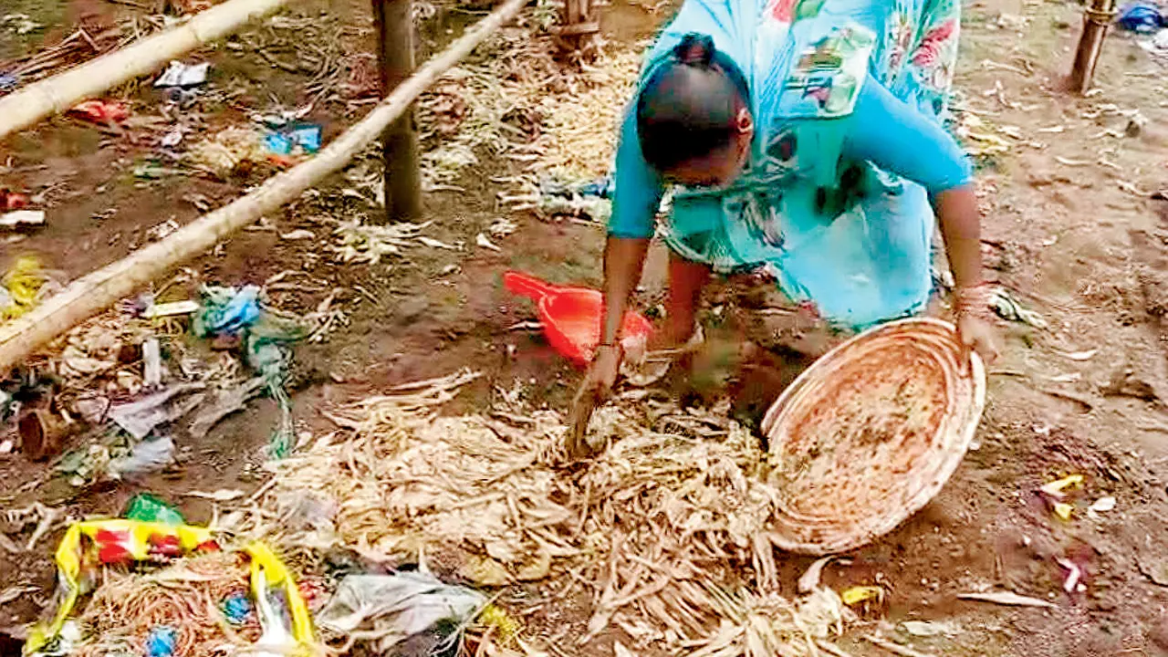 Climate disruption leaves Palghar’s coastal families reeling under massive losse