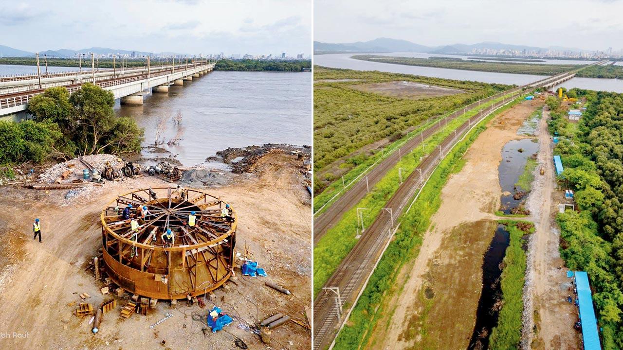 Mumbai: Borivali-Virar 5th and 6th line project crawls at 18 per cent progress despite two years of work