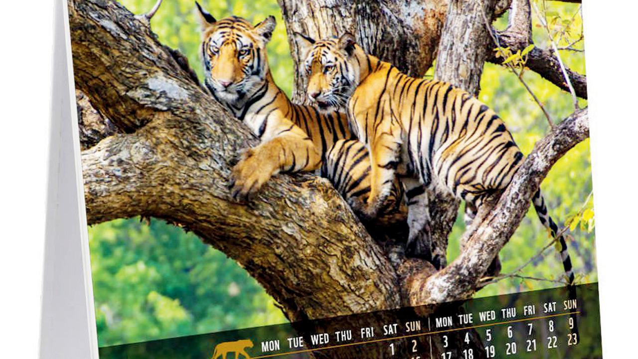 Pic courtesy/WWF NATURE STORE