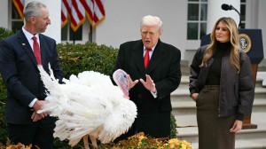 In Photos: Donald Trump pardons turkeys in annual Thanksgiving tradition
