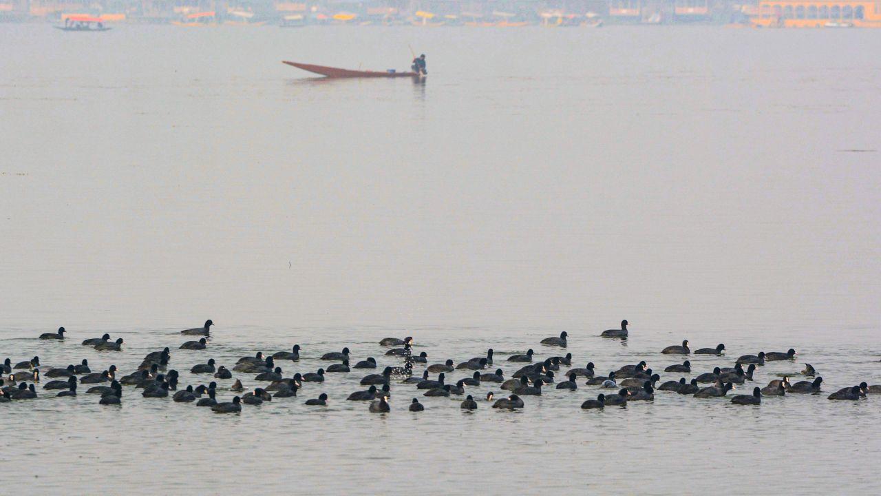 Srinagar witnesses the coldest night of the season at minus 3.9 degree Celsius