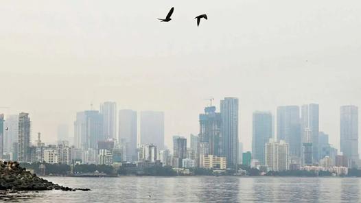 Mumbai weather update: City experiences soothing weather; AQI stays 'moderate'