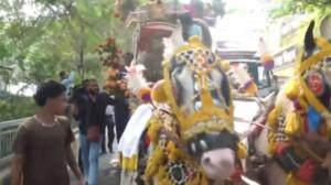 Bihar Election Results 2025 LIVE: BJP workers arrive at RJD office riding Rath