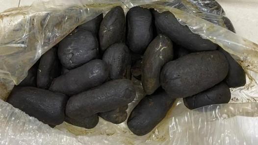 Mumbai: Hashish valued at Rs 12 lakh seized in Palghar district, one arrested