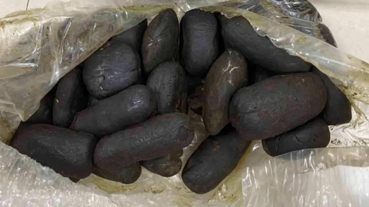 Mumbai LIVE: Hashish valued at Rs 12 lakh seized in Palghar district