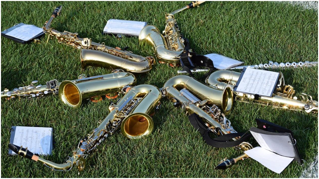 Echoes of Earth: Circular Music FestivalExperience Echoes of Earth, a prelude event to a green music festival that celebrates nature’s harmony and creativity. The evening features live performances, interactive sessions, and conversations on how species communicate and coexist — all set against a backdrop of immersive music and visuals.Date November 15At antiSOCIAL, Lower ParelLog on to District