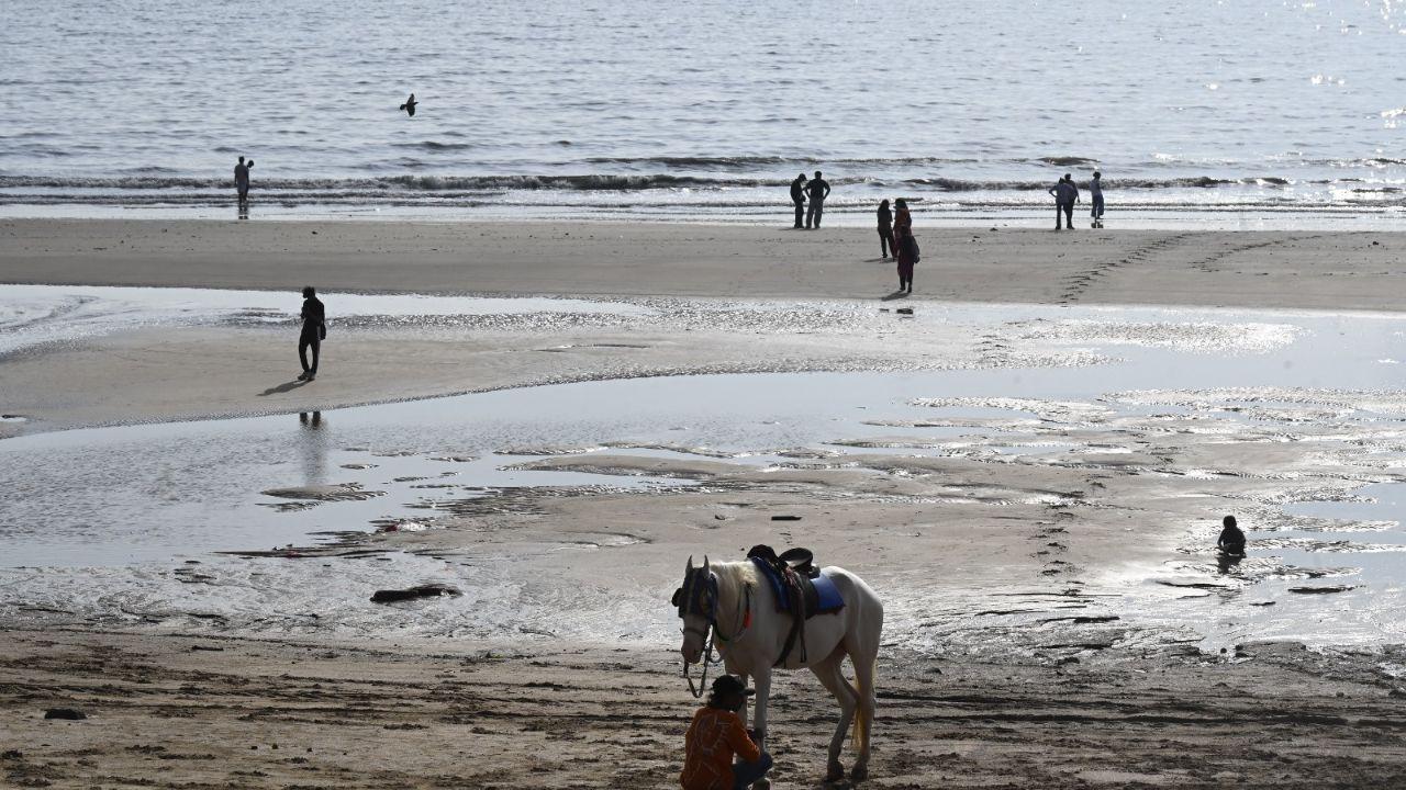 Meanwhile, in other parts of Maharashtra, five districts, Solapur, Parbhani, Beed, Latur, and Dharashiv, have been placed under a yellow alert by the IMD