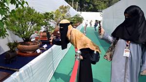 In Pics: Bonsai and origami exhibition opens at Jijabai Bhosale Botanical Garden