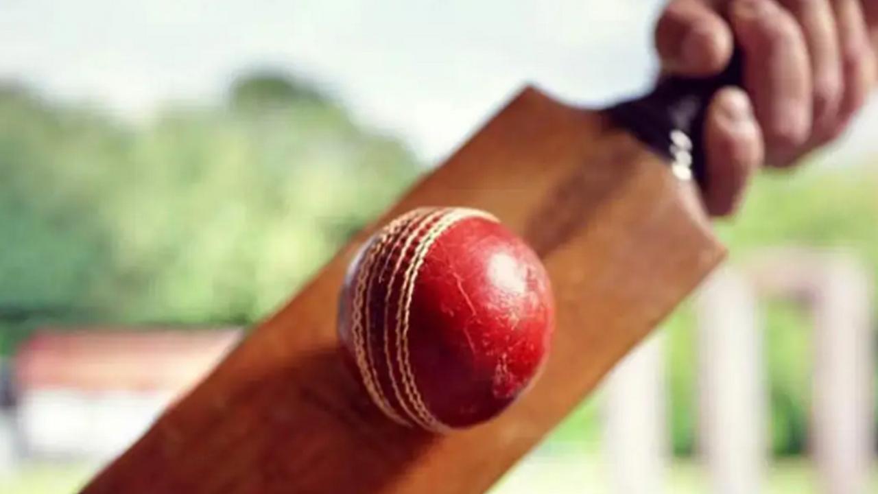 ODI Women`s World Cup 2025: Pakistan women`s head coach sacked after early exit ODI Women`s World Cup 2025: Pakistan women`s head coach sacked after early exit