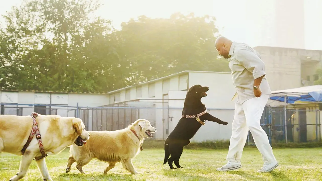 A Delhi-based singer-songwriter's new single pays homage to pets