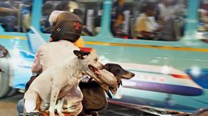 Mumbai Diary: Sunday Dossier