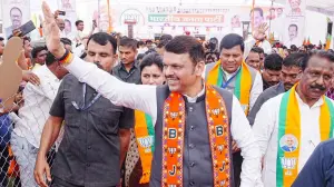 Back leaders aligned with Modi’s development agenda: CM Fadnavis
